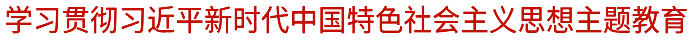 學(xué)習(xí)貫徹習(xí)近平新時代中國特色社會主義思想主題教育.png